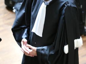 Les deux carnavaliers interpellés dimanche placés sous contrôle judiciaire